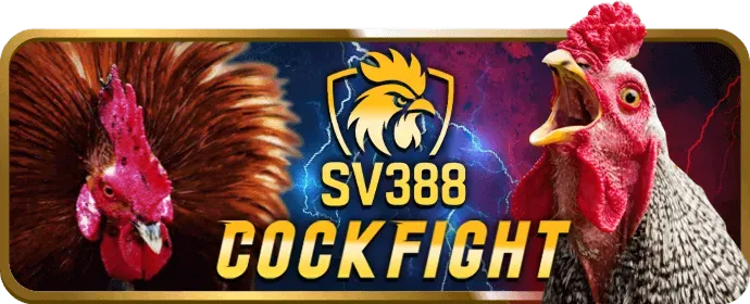 Mẹo chơi nổ hũ hiệu quả tại sen88 win